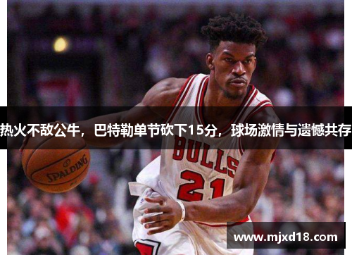 热火不敌公牛，巴特勒单节砍下15分，球场激情与遗憾共存